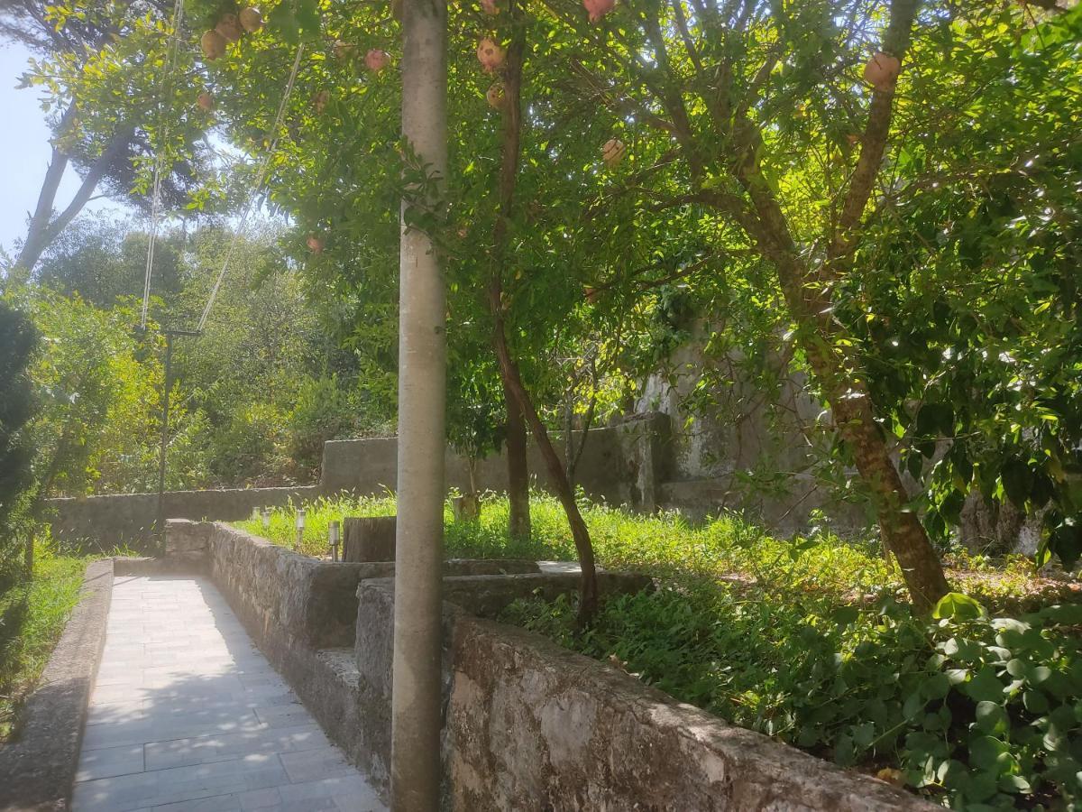 Apartman Arbanas Dubrovnik Buitenkant foto